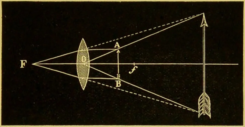 An illustration from The microscope : its history, construction, and application, being a familiar introduction to the use of the instrument, and the study of microscopical science / by Jabez Hogg., 1898, leaf 61