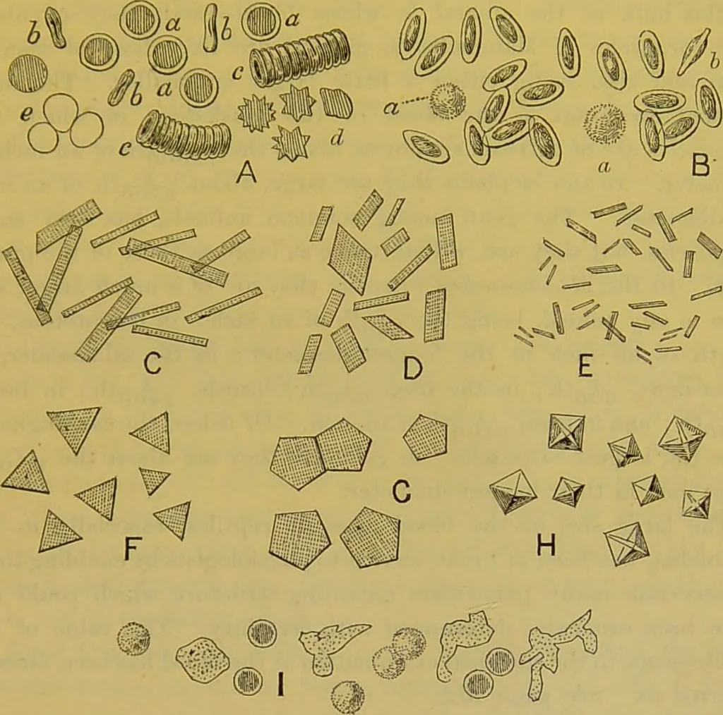 An illustration from The microscope : its history, construction, and application, being a familiar introduction to the use of the instrument, and the study of microscopical science / by Jabez Hogg., 1898, leaf 709