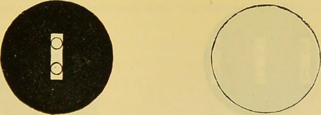 An illustration from The microscope : its history, construction, and application, being a familiar introduction to the use of the instrument, and the study of microscopical science / by Jabez Hogg., 1898, leaf 71