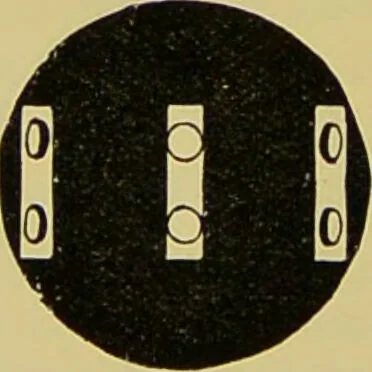 An illustration from The microscope : its history, construction, and application, being a familiar introduction to the use of the instrument, and the study of microscopical science / by Jabez Hogg., 1898, leaf 72