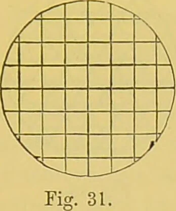 An illustration from The microscope : its history, construction, and application, being a familiar introduction to the use of the instrument, and the study of microscopical science / by Jabez Hogg., 1898, leaf 73