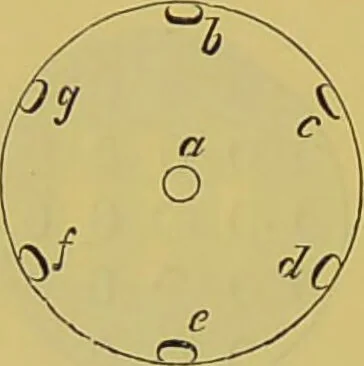 An illustration from The microscope : its history, construction, and application, being a familiar introduction to the use of the instrument, and the study of microscopical science / by Jabez Hogg., 1898, leaf 74