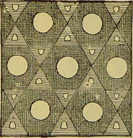 An illustration from The microscope : its history, construction, and application, being a familiar introduction to the use of the instrument, and the study of microscopical science / by Jabez Hogg., 1898, leaf 74