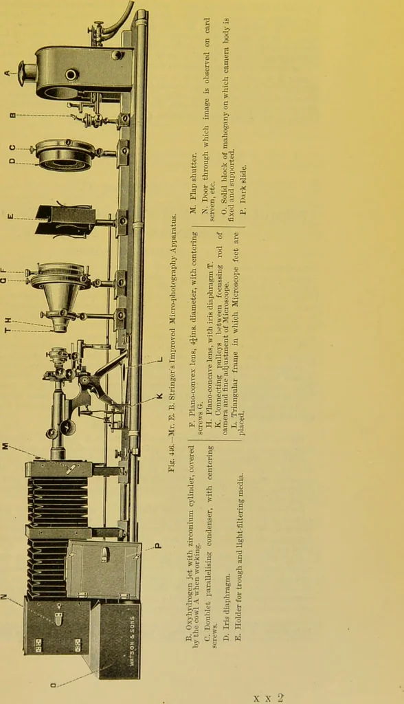 An illustration from The microscope : its history, construction, and application, being a familiar introduction to the use of the instrument, and the study of microscopical science / by Jabez Hogg., 1898, leaf 747