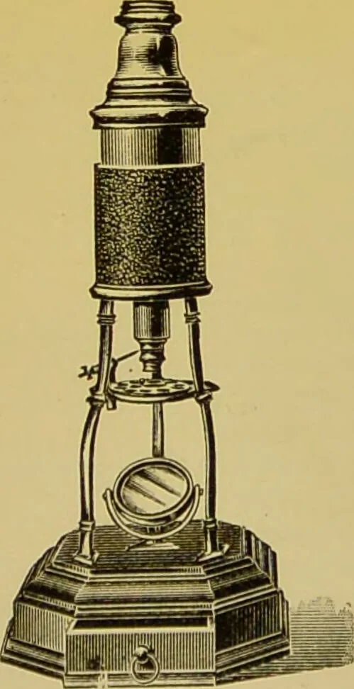 An illustration from The microscope : its history, construction, and application, being a familiar introduction to the use of the instrument, and the study of microscopical science / by Jabez Hogg., 1898, leaf 761