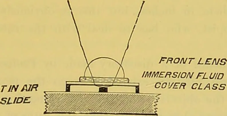 An illustration from The microscope : its history, construction, and application, being a familiar introduction to the use of the instrument, and the study of microscopical science / by Jabez Hogg., 1898, leaf 83