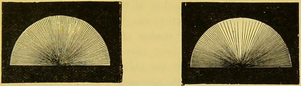 An illustration from The microscope : its history, construction, and application, being a familiar introduction to the use of the instrument, and the study of microscopical science / by Jabez Hogg., 1898, leaf 87