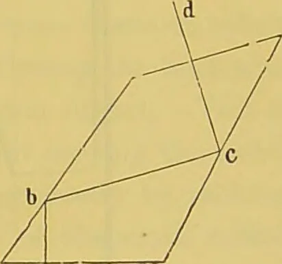 An illustration from The microscope : its history, construction, and application, being a familiar introduction to the use of the instrument, and the study of microscopical science / by Jabez Hogg., 1898, leaf 97