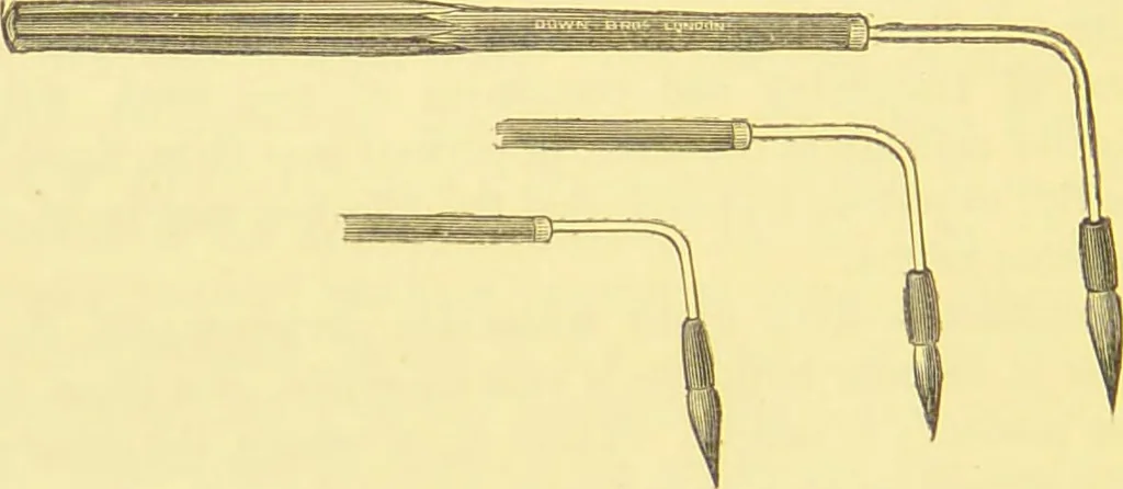 An illustration from Diseases of the nose and throat / by F. de Havilland Hall ... With 2 coloured plates and 59 illustrations., 1894, leaf 354