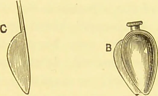 An illustration from Diseases of the nose and throat / by F. de Havilland Hall ... With 2 coloured plates and 59 illustrations., 1894, leaf 437