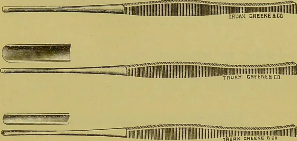 An illustration from Diseases of the ear, nose, and throat and their accessory cavities : A condensed text-book / By Seth Scott Bishop., 1897, leaf 181