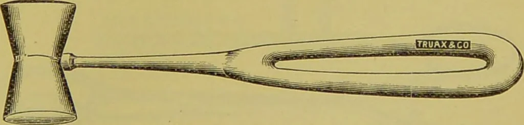An illustration from Diseases of the ear, nose, and throat and their accessory cavities : A condensed text-book / By Seth Scott Bishop., 1897, leaf 181