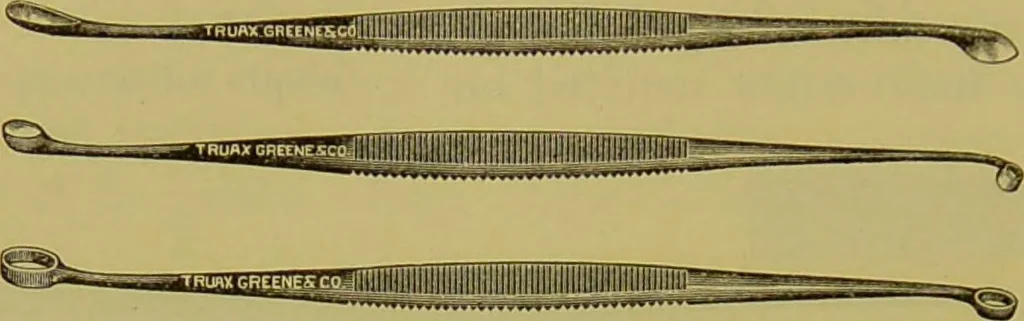 An illustration from Diseases of the ear, nose, and throat and their accessory cavities : A condensed text-book / By Seth Scott Bishop., 1897, leaf 182