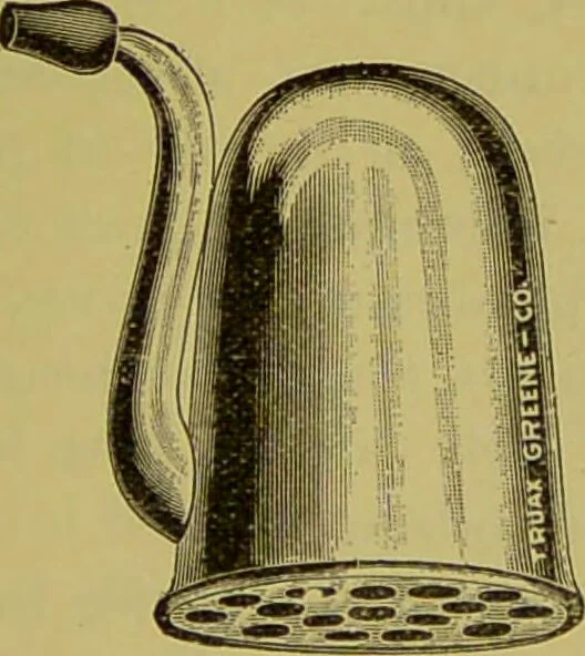 An illustration from Diseases of the ear, nose, and throat and their accessory cavities : A condensed text-book / By Seth Scott Bishop., 1897, leaf 227
