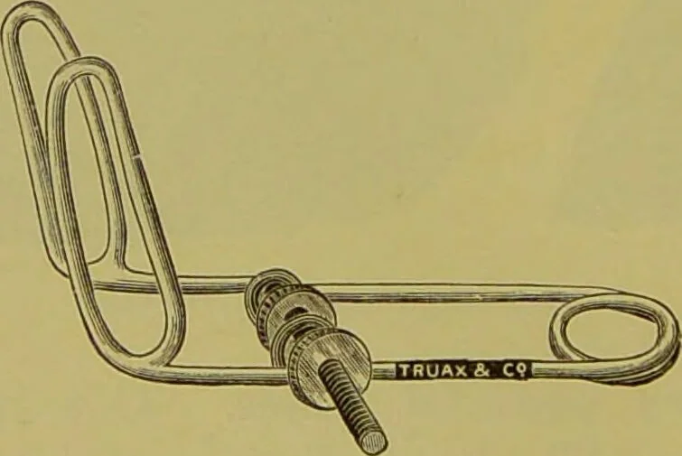 An illustration from Diseases of the ear, nose, and throat and their accessory cavities : A condensed text-book / By Seth Scott Bishop., 1897, leaf 234