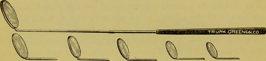 An illustration from Diseases of the ear, nose, and throat and their accessory cavities : A condensed text-book / By Seth Scott Bishop., 1897, leaf 236
