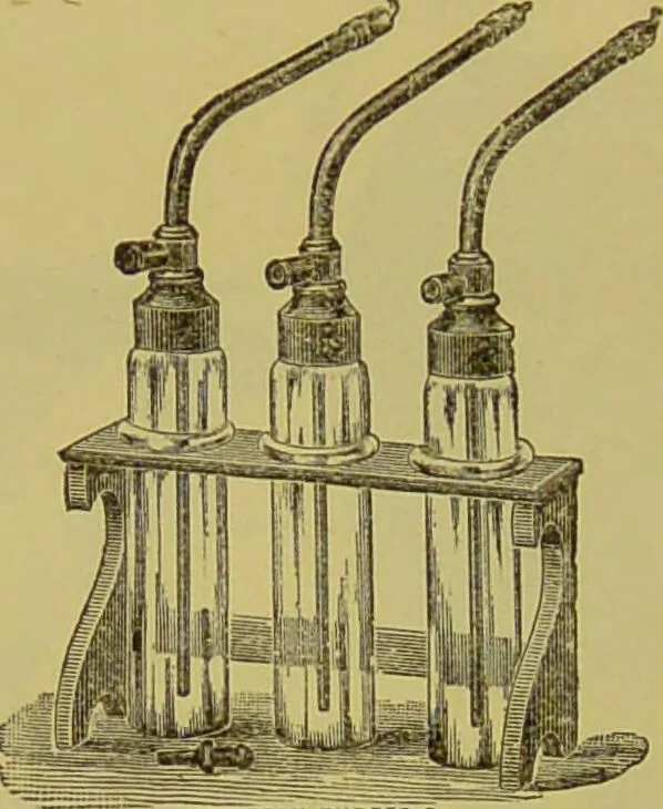 An illustration from Diseases of the ear, nose, and throat and their accessory cavities : A condensed text-book / By Seth Scott Bishop., 1897, leaf 238