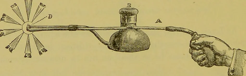 An illustration from Diseases of the ear, nose, and throat and their accessory cavities : A condensed text-book / By Seth Scott Bishop., 1897, leaf 238