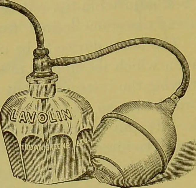 An illustration from Diseases of the ear, nose, and throat and their accessory cavities : A condensed text-book / By Seth Scott Bishop., 1897, leaf 240