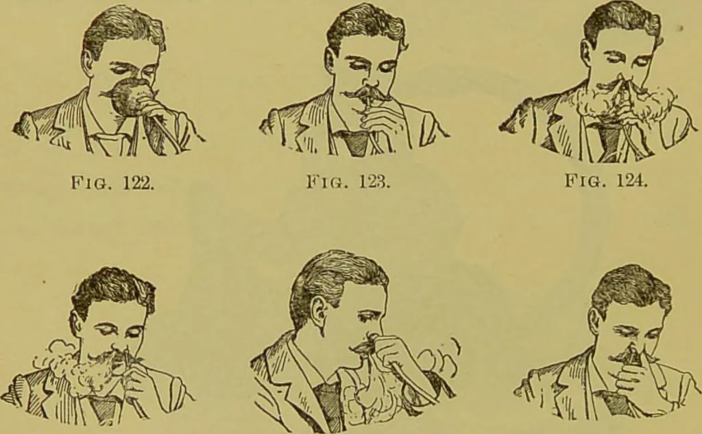 An illustration from Diseases of the ear, nose, and throat and their accessory cavities : A condensed text-book / By Seth Scott Bishop., 1897, leaf 242