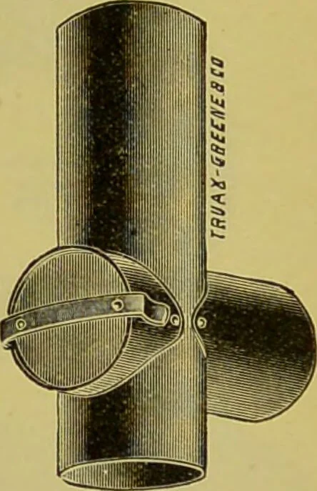 An illustration from Diseases of the ear, nose, and throat and their accessory cavities : A condensed text-book / By Seth Scott Bishop., 1897, leaf 37