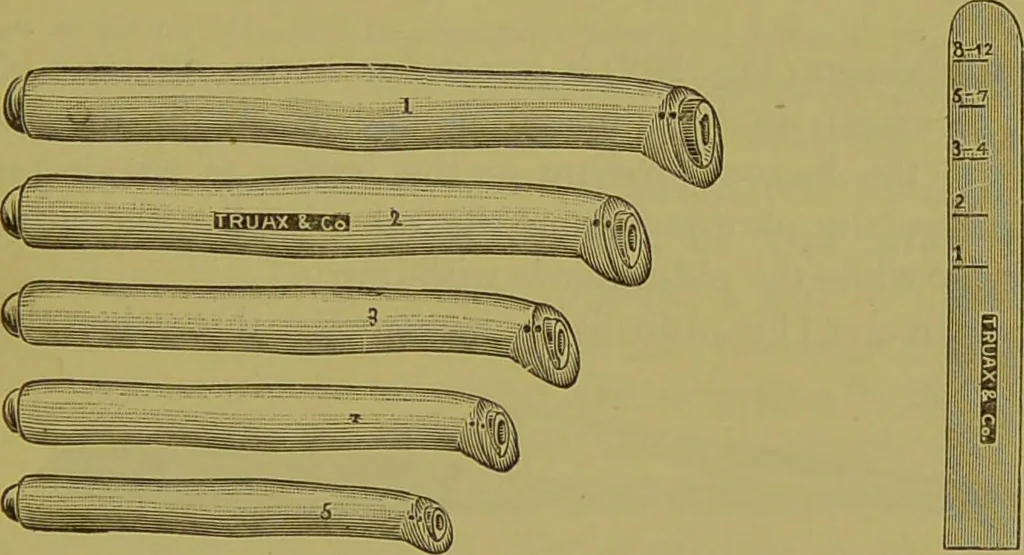 An illustration from Diseases of the ear, nose, and throat and their accessory cavities : A condensed text-book / By Seth Scott Bishop., 1897, leaf 511