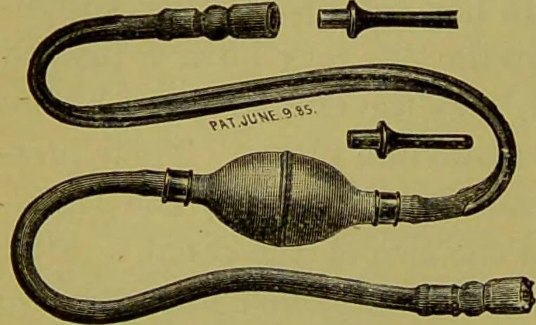An illustration from Diseases of the ear, nose, and throat and their accessory cavities : A condensed text-book / By Seth Scott Bishop., 1897, leaf 76
