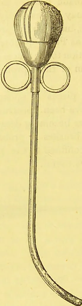 An illustration from Laryngoscopy and rhinoscopy and the diagnosis and treatment of the diseases of the throat and nose / by Prosser James, M.D., 1888, leaf 196