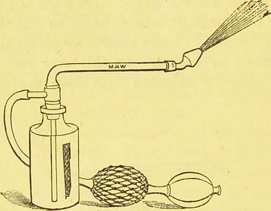 An illustration from Laryngoscopy and rhinoscopy and the diagnosis and treatment of the diseases of the throat and nose / by Prosser James, M.D., 1888, leaf 240