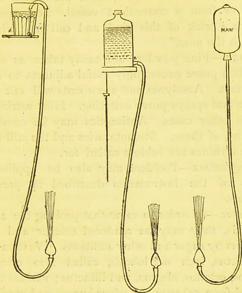 An illustration from Laryngoscopy and rhinoscopy and the diagnosis and treatment of the diseases of the throat and nose / by Prosser James, M.D., 1888, leaf 259