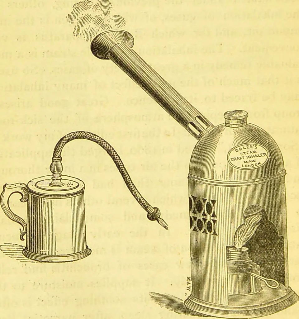 An illustration from Laryngoscopy and rhinoscopy and the diagnosis and treatment of the diseases of the throat and nose / by Prosser James, M.D., 1888, leaf 268