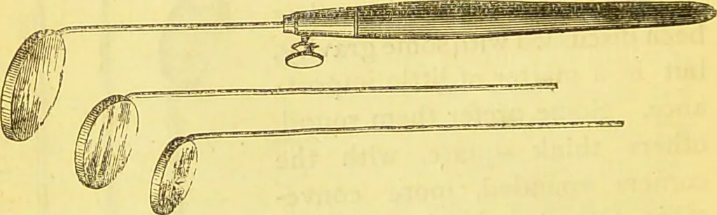 An illustration from Laryngoscopy and rhinoscopy and the diagnosis and treatment of the diseases of the throat and nose / by Prosser James, M.D., 1888, leaf 28