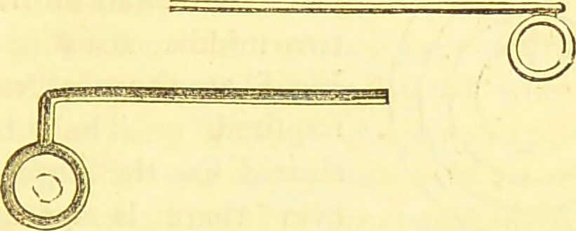 An illustration from Laryngoscopy and rhinoscopy and the diagnosis and treatment of the diseases of the throat and nose / by Prosser James, M.D., 1888, leaf 29