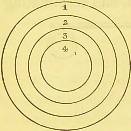 An illustration from Laryngoscopy and rhinoscopy and the diagnosis and treatment of the diseases of the throat and nose / by Prosser James, M.D., 1888, leaf 30