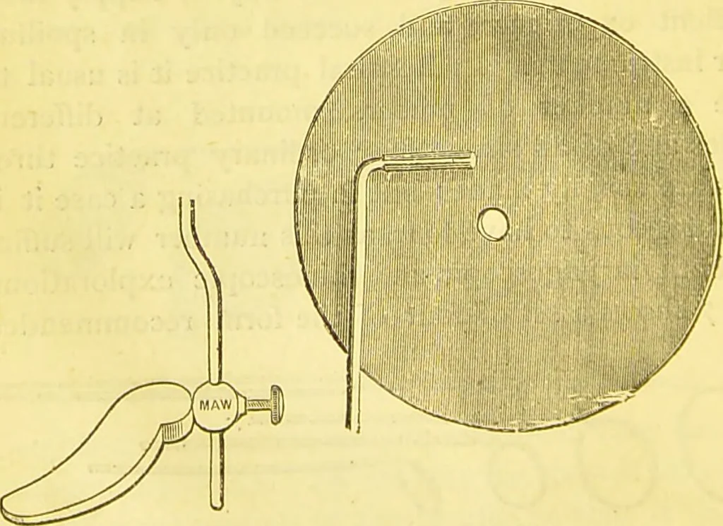 An illustration from Laryngoscopy and rhinoscopy and the diagnosis and treatment of the diseases of the throat and nose / by Prosser James, M.D., 1888, leaf 30