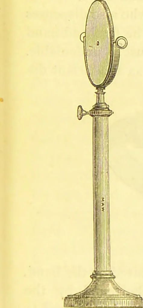 An illustration from Laryngoscopy and rhinoscopy and the diagnosis and treatment of the diseases of the throat and nose / by Prosser James, M.D., 1888, leaf 31
