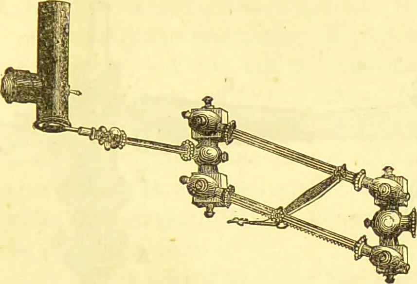 An illustration from Laryngoscopy and rhinoscopy and the diagnosis and treatment of the diseases of the throat and nose / by Prosser James, M.D., 1888, leaf 35