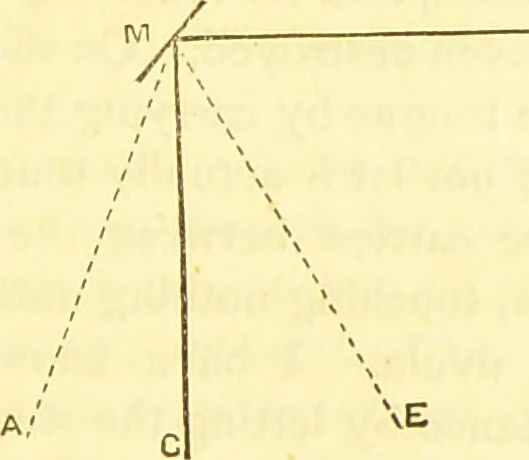 An illustration from Laryngoscopy and rhinoscopy and the diagnosis and treatment of the diseases of the throat and nose / by Prosser James, M.D., 1888, leaf 53