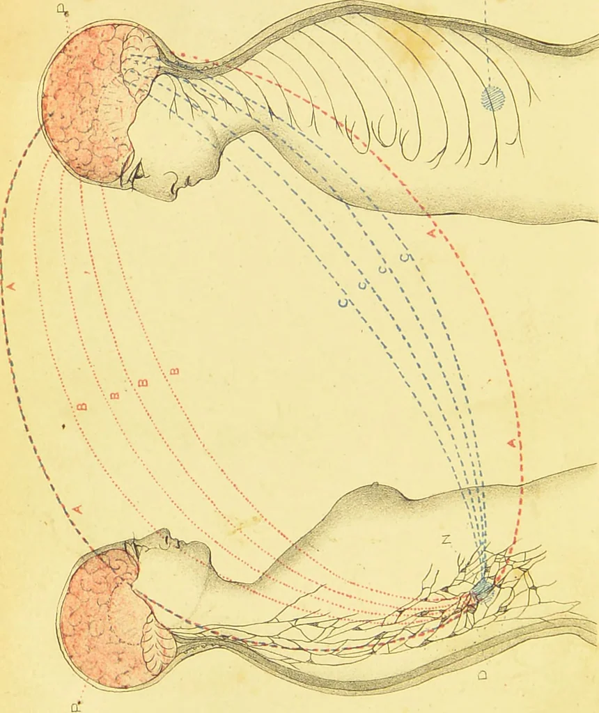 An illustration from Spiritualism and animal magnetism : a treatise on dreams, second sight, somnambulism, magnetic sleep, spiritual manifestations, hallucinations, and spectral visions / G.G. Zerffri., 1871, leaf 6