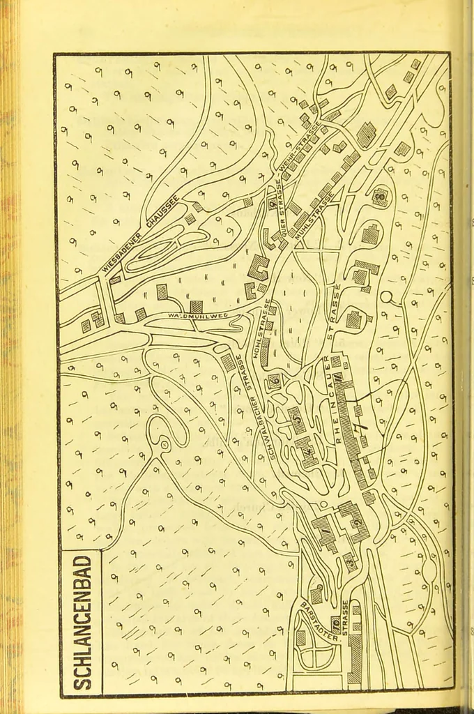 An illustration from B. Bradshaw's Dictionary of mineral waters, climatic health resorts, sea baths, and hydropathic establishments : giving the summer and winter residences of doctors, hotels which can be recommended with confidence, and other useful information : with a map printed in 11 colours, showing the stations named, and an itinerary of the quickest and cheapest routes by rail, boats, carriages, etc., and seven smaller maps and plans., 1884, leaf 386