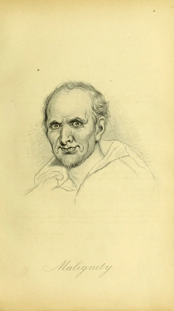 An illustration from Facts & faces : being an enquiry into the connection between linear & mental portraiture ; with a dissertation on personal & relative beauty ... / Thomas Woolnoth., 1854, leaf 135