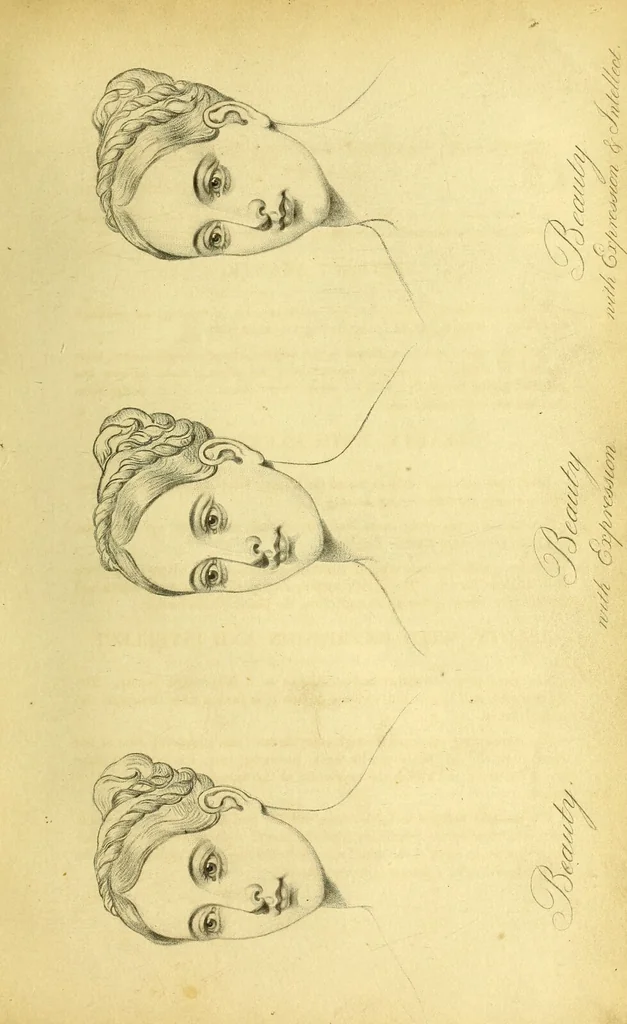 An illustration from Facts & faces : being an enquiry into the connection between linear & mental portraiture ; with a dissertation on personal & relative beauty ... / Thomas Woolnoth., 1854, leaf 243