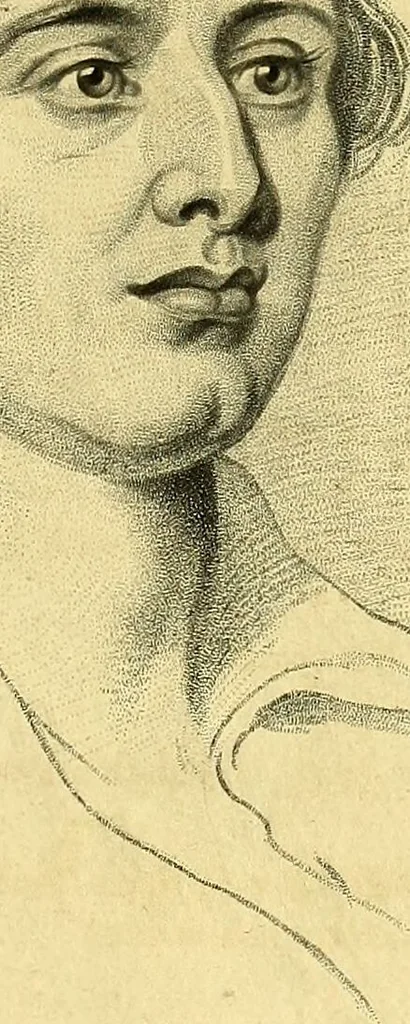 An illustration from Facts & faces : being an enquiry into the connection between linear & mental portraiture ; with a dissertation on personal & relative beauty ... / Thomas Woolnoth., 1854, leaf 43