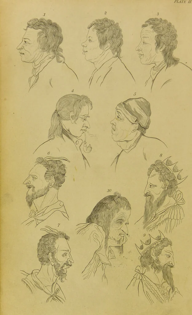 An illustration from Essays on physiognomy : designed to promote the knowledge and the love of mankind / written in the German language by John Caspar Lavater ; and translated into English by Thomas Holcroft ; to which are added, One hundred physiognomonical rules, a posthumous work by Mr. Lavater ; and memoirs of the life of the author, compiled principally from the life of Lavater, by G. Gessner., 1848, leaf 174
