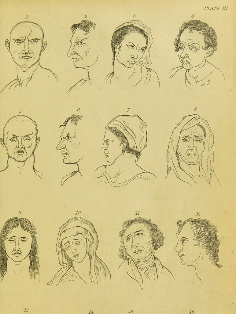 An illustration from Essays on physiognomy : designed to promote the knowledge and the love of mankind / written in the German language by John Caspar Lavater ; and translated into English by Thomas Holcroft ; to which are added, One hundred physiognomonical rules, a posthumous work by Mr. Lavater ; and memoirs of the life of the author, compiled principally from the life of Lavater, by G. Gessner., 1848, leaf 177