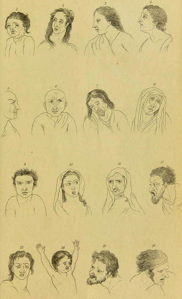 An illustration from Essays on physiognomy : designed to promote the knowledge and the love of mankind / written in the German language by John Caspar Lavater ; and translated into English by Thomas Holcroft ; to which are added, One hundred physiognomonical rules, a posthumous work by Mr. Lavater ; and memoirs of the life of the author, compiled principally from the life of Lavater, by G. Gessner., 1848, leaf 179