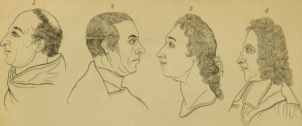 An illustration from Essays on physiognomy : designed to promote the knowledge and the love of mankind / written in the German language by John Caspar Lavater ; and translated into English by Thomas Holcroft ; to which are added, One hundred physiognomonical rules, a posthumous work by Mr. Lavater ; and memoirs of the life of the author, compiled principally from the life of Lavater, by G. Gessner., 1848, leaf 244