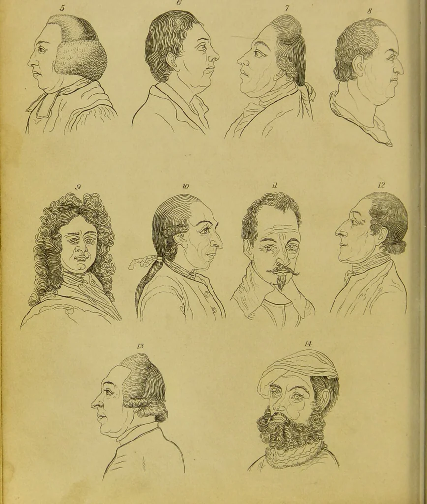 An illustration from Essays on physiognomy : designed to promote the knowledge and the love of mankind / written in the German language by John Caspar Lavater ; and translated into English by Thomas Holcroft ; to which are added, One hundred physiognomonical rules, a posthumous work by Mr. Lavater ; and memoirs of the life of the author, compiled principally from the life of Lavater, by G. Gessner., 1848, leaf 244
