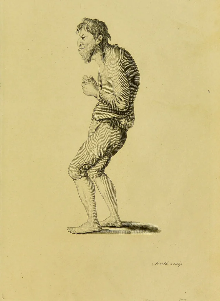 An illustration from Essays on physiognomy : designed to promote the knowledge and the love of mankind / written in the German language by John Caspar Lavater ; and translated into English by Thomas Holcroft ; to which are added, One hundred physiognomonical rules, a posthumous work by Mr. Lavater ; and memoirs of the life of the author, compiled principally from the life of Lavater, by G. Gessner., 1848, leaf 265