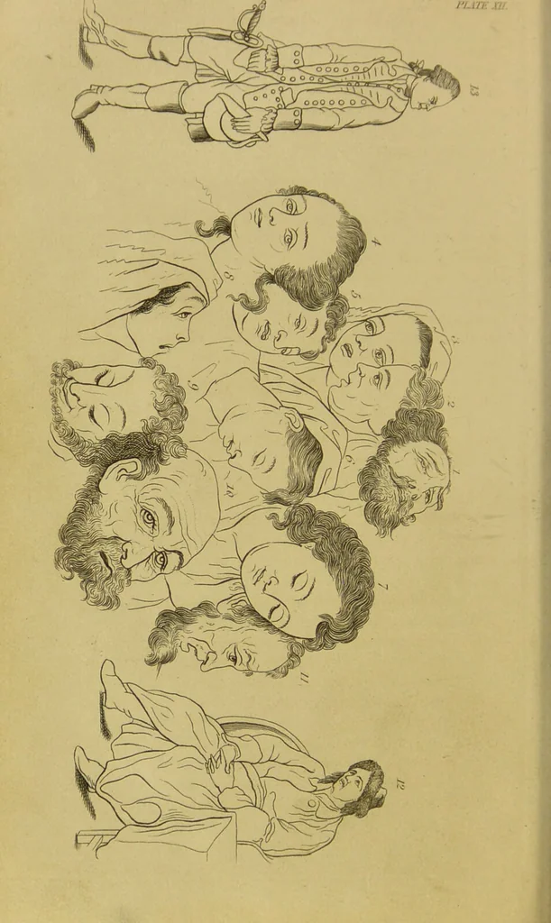 An illustration from Essays on physiognomy : designed to promote the knowledge and the love of mankind / written in the German language by John Caspar Lavater ; and translated into English by Thomas Holcroft ; to which are added, One hundred physiognomonical rules, a posthumous work by Mr. Lavater ; and memoirs of the life of the author, compiled principally from the life of Lavater, by G. Gessner., 1848, leaf 270